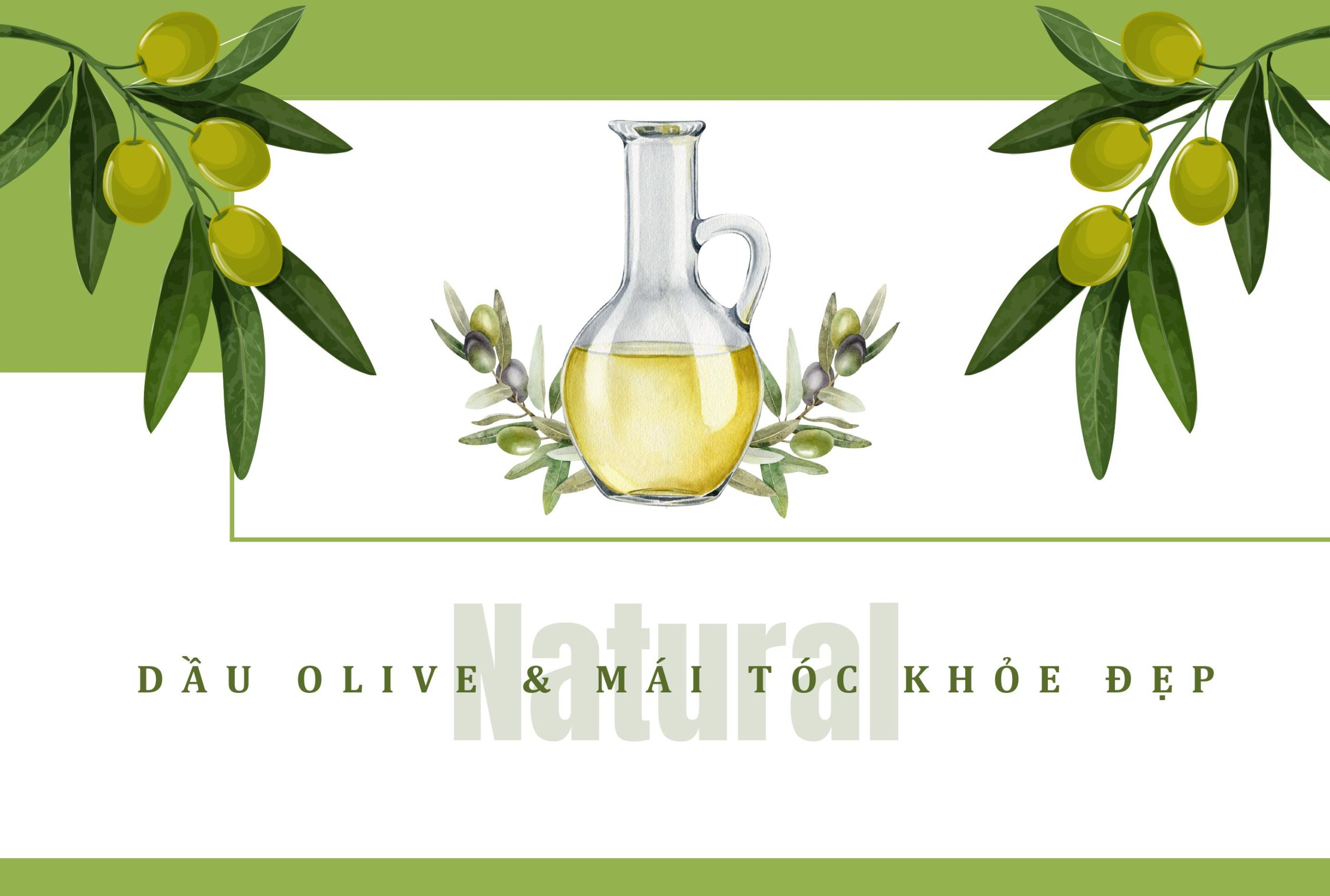 Dầu Olive và mái tóc khỏe đẹp