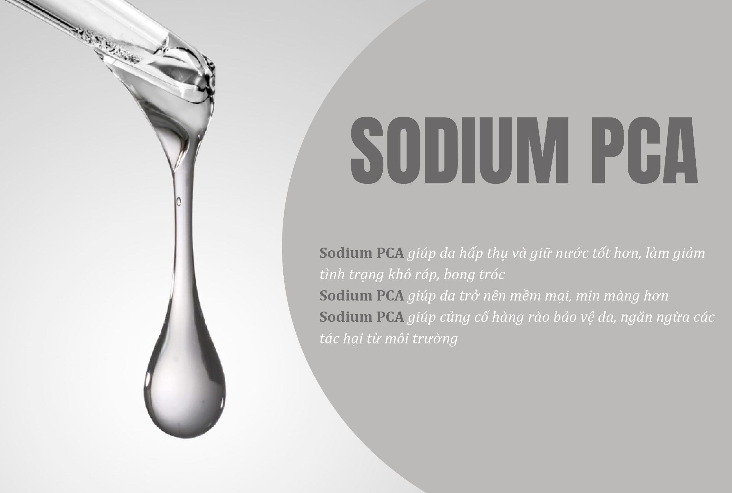 Sodium PCA – Thành phần cấp ẩm tự nhiên tuyệt vời